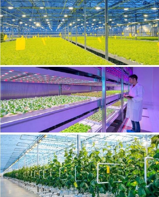 vertical farming