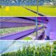 vertical farming